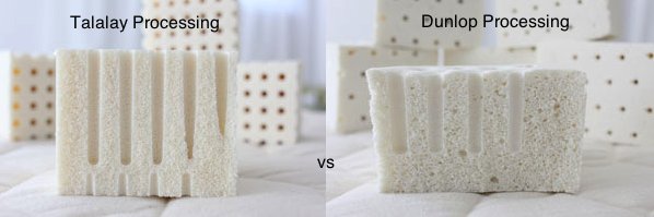 Talalay vs Dunlop Latex Foam Processing for Mattress